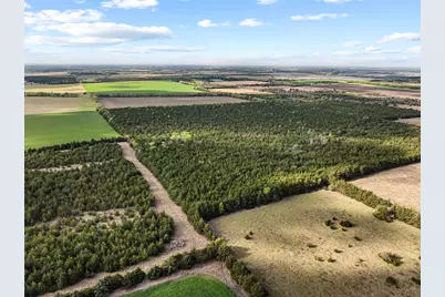 Tbd Fm 198, Cooper, TX 75432 - Photo 3