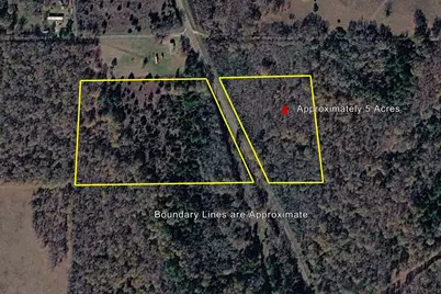 Tract 3 Fm 542, Oakwood, TX 75855 - Photo 9