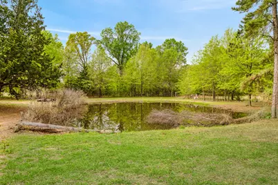 10689 Fm 1502, Blossom, TX 75416 - Photo 15