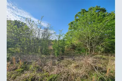 Tbd County Road 4120, Cumby, TX 75433 - Photo 11