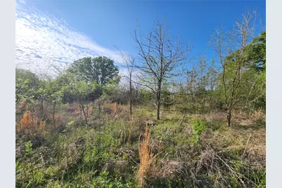 Tbd County Road 4120, Cumby, TX 75433 - Photo 7