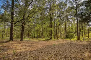 5850 Fm 1249, Kilgore, TX 75662 - Photo 9