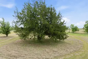 582 Hcr 1313, Hillsboro, TX 76645 - Photo 27