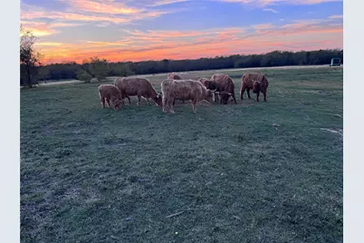 4081 Fm 2736 #B, Campbell, TX 75422 - Photo 13