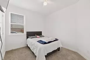 10005 Tin Star St, Aubrey, TX 76227 - Photo 19