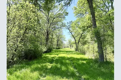 6239 Fm 879, Ennis, TX 75119 - Photo 35
