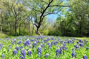 6239 FM 879, Ennis, TX 75119 - Photo 33