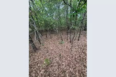 46 April Cove, Streetman, TX 75859 - Photo 1