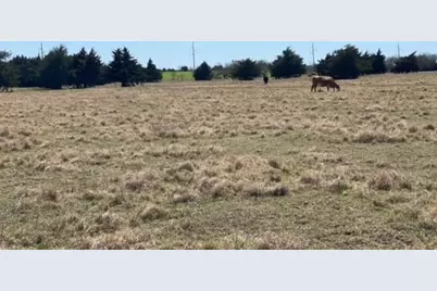 1375 County Road 1030, Corsicana, TX 75110 - Photo 5