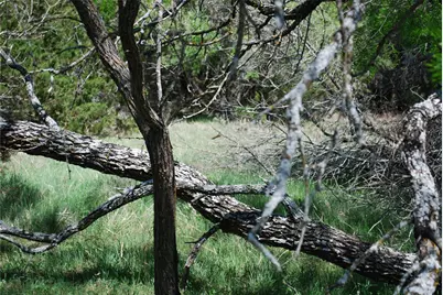 19016 Bluebonnet Drive, Whitney, TX 76692 - Photo 9