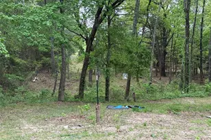 1014 Co Rd 3226, Quitman, TX 75783 - Photo 21