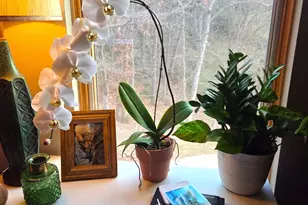 831 S French Ave, Denison, TX 75020 - Photo 7