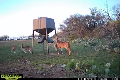 3873 N US Highway 87, Brady, TX 76825 - Photo 37