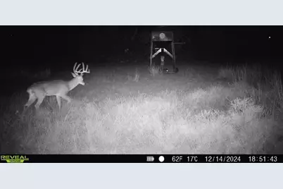 3873 N US Highway 87, Brady, TX 76825 - Photo 33