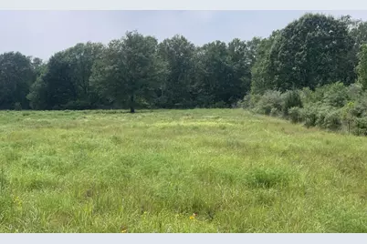 Tbd Cr 381, Oakwood, TX 75855 - Photo 9