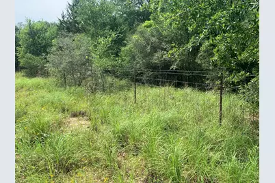 Tbd Cr 381, Oakwood, TX 75855 - Photo 5