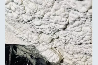 619 N Friendship Road, Sherman, TX 75092 - Photo 29