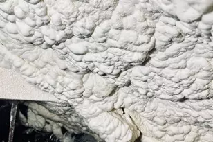 619 N Friendship Rd, Sherman, TX 75092 - Photo 29