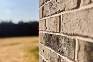 619 N Friendship Rd, Sherman, TX 75092 - Photo 31