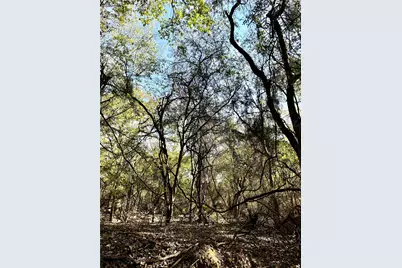 42 Acres County Road 2400, Pickton, TX 75471 - Photo 3