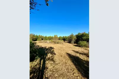 42 Acres County Road 2400, Pickton, TX 75471 - Photo 9