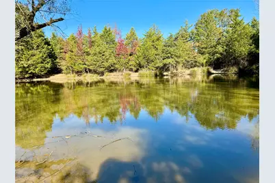 42 Acres County Road 2400, Pickton, TX 75471 - Photo 5