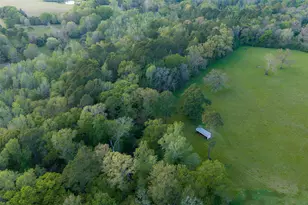 5257 Farm To Market Road 228, Grapeland, TX 75844 - Photo 29