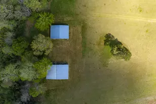 5257 Farm To Market Road 228, Grapeland, TX 75844 - Photo 17