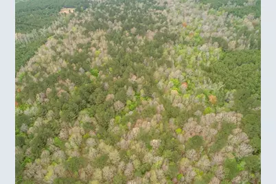 845 Fm 31, De Berry, TX 75639 - Photo 31