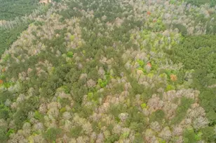 845 FM 31, De Berry, TX 75639 - Photo 31