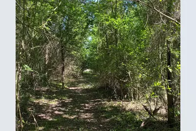 1215 Cr 4165, Quitman, TX 75783 - Photo 5