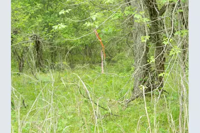 Tbd SW Cr 0030, Corsicana, TX 75110 - Photo 13