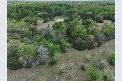 Tbd Mitchell Road, Kosse, TX 76653 - Photo 19