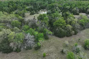 Tbd Mitchell Rd, Kosse, TX 76653 - Photo 19