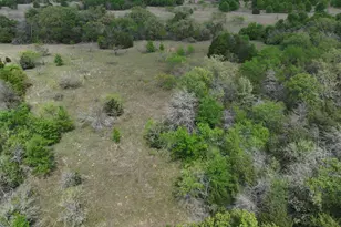 Tbd Mitchell Rd, Kosse, TX 76653 - Photo 17