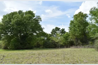 Tbd Mitchell Road, Kosse, TX 76653 - Photo 5