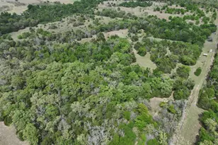 Tbd Mitchell Rd, Kosse, TX 76653 - Photo 29