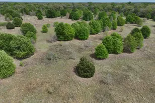 Tbd Mitchell Rd, Kosse, TX 76653 - Photo 25