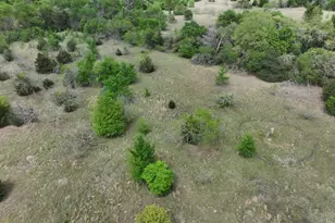 Tbd Mitchell Rd, Kosse, TX 76653 - Photo 21