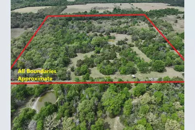 Tbd Mitchell Road, Kosse, TX 76653 - Photo 1