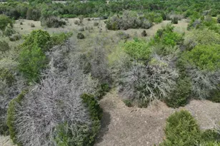 Tbd Mitchell Rd, Kosse, TX 76653 - Photo 15