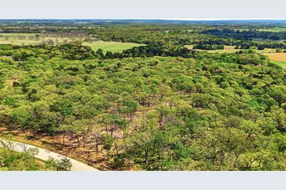 Lot 13 Buck Trail Road, Pottsboro, TX 75076 - Photo 13