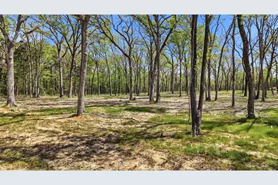 Lot 13 Buck Trail Road, Pottsboro, TX 75076 - Photo 3