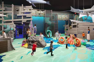 600 Rusty Spurs Pl, Weston, TX 75009 - Photo 35