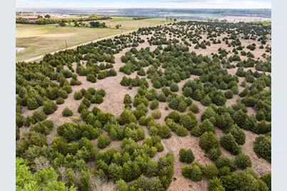 Tbd Fm 128, Cooper, TX 75432 - Photo 5