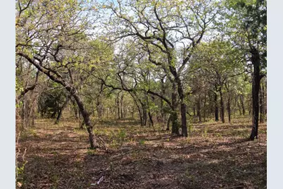 2113 Jeremy Street, Tolar, TX 76476 - Photo 3