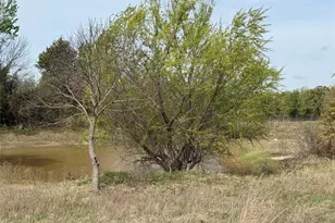 1556 Co Rd 4764, Boyd, TX 76023 - Photo 7