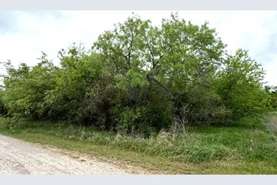 Tbd McAlister, Mingus, TX 76463 - Photo 1
