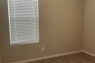 3102 Yellow Pne Dr, Melissa, TX 75454 - Photo 19