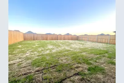 1309 Lavinola Lane, Anna, TX 75409 - Photo 29